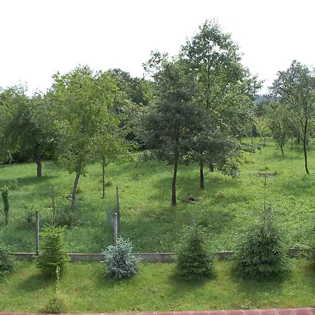Pensiune Mutafova House